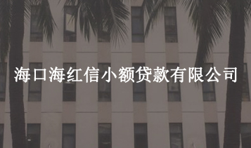 ?？诤＜t信小額貸款有限公司